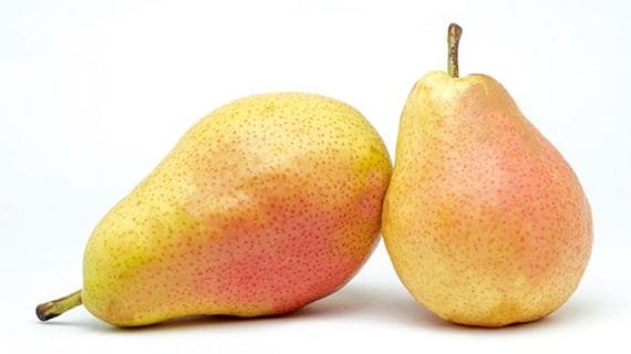 7 Manfaat Buah Pir, Salah Satunya Dapat Menjadi Anti Aging Alami