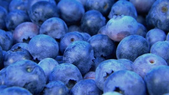 Cegah Penuaan! Makanan atau Buah Pencegah Penuaan Dini