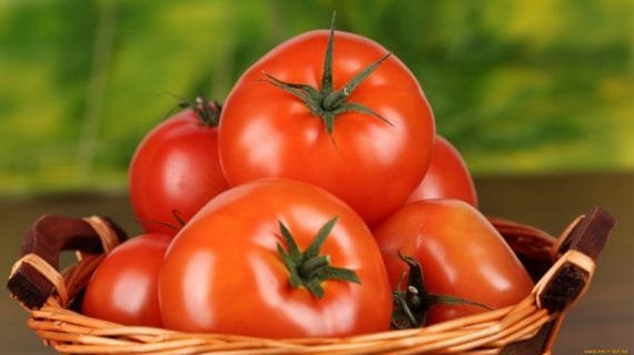 Manfaat Tomat untuk Jerawat dan Kulit Wajah