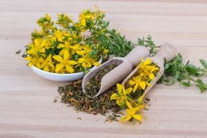 7 Jenis Bunga yang Bermanfaat untuk Kecantikan